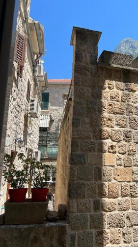 Royal House - image 9