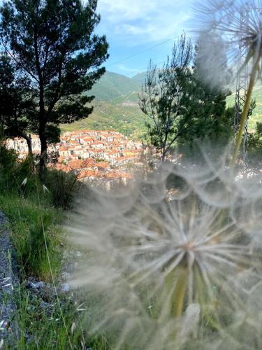 Casa- Vacanza Giro' - C2A6PEU3OW