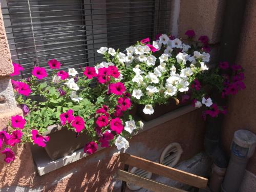 Cannaregio II Apartments - image 9