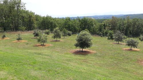 Coteaux De Braules