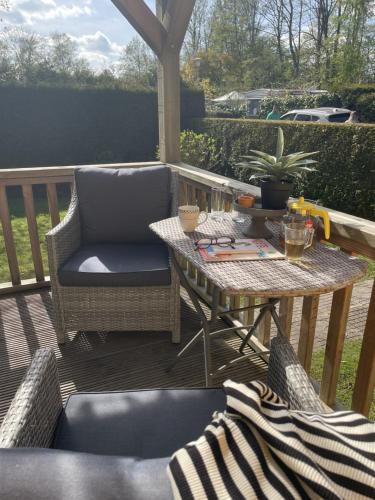  Fijne 5-persoons chalet op 5 sterren Vakantiepark Bergumermeer in Suameer