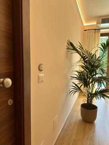 B&B I Greci in Pietravairano
