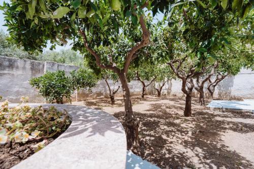 Angolo 31, Trapani (fotografie 3)
