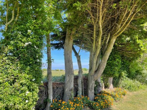 Peaceful holiday home on a park on the Kent Coast