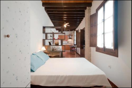 Apartamentos centro historico a los pies de la Alhambra, Granada (fotografie 2)