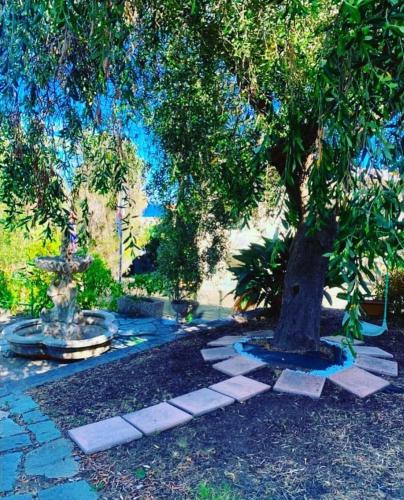 Residence Hotel Edy - image 14