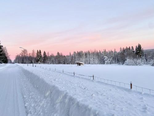 Vildmarksgård Lillviken