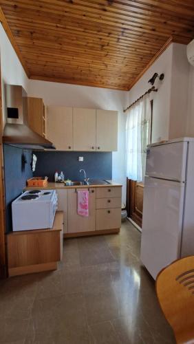 주방, Crissimo apartment in 타소스