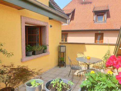 LE SCHMOUTZ: Charmant duplex entre Colmar et Mulhouse (1-4 pers) - Location saisonnière - Ensisheim