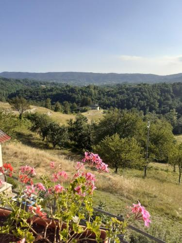 Cascina Merlo Country House 5