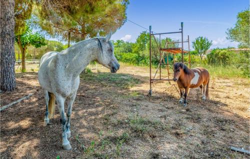 Gorgeous Home In Reus With Kitchenette