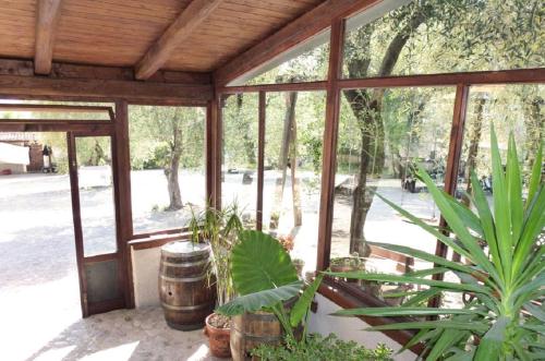 Зручності, Agriturismo Macchiapiede in Сала-Консіліна