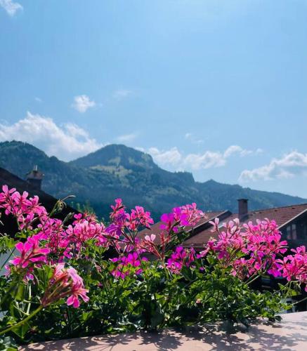 Berge, Wandern, Erholung pur! Fewo Tinka-Haus Katja, Bad Hindelang (Foto 8)
