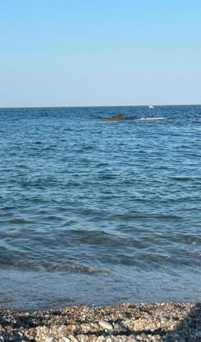  Dolphin House in Riposto