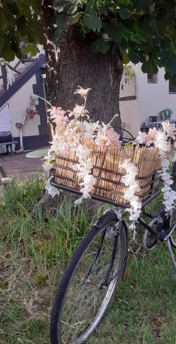 ma campagne - image 5