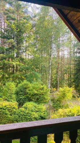 A környék, Domek Leśny Reset (Domek Lesny Reset) in Studzienice