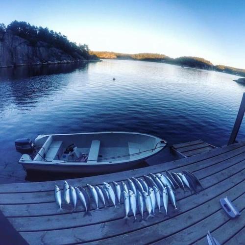 Cottage, boat, spa, private dock, Lillesand