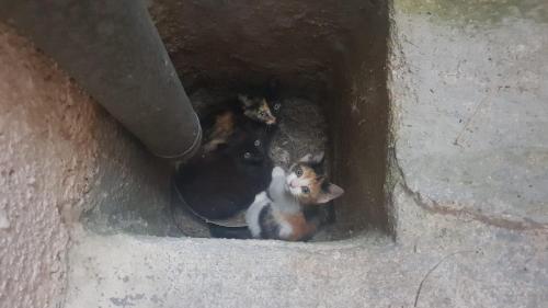 Un terrazzo sul mare - nella quiete della campagna - a 5 min dalle spiagge di Torre San Giovanni - 15 min dalle Maldive del Salento