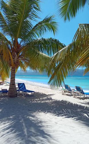 Beach, BUNGALOWS COLIBRI in Las Galeras