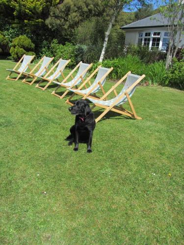 Hillside Lodge B&B – Clifden