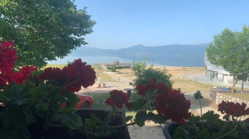 . Hotel Riva