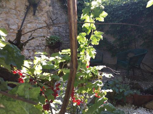 Maison Berrichonne avec cour et jardin intime