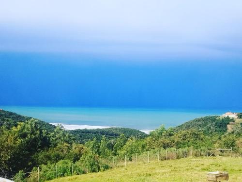 Map Of Africa Ocean View Tiny House