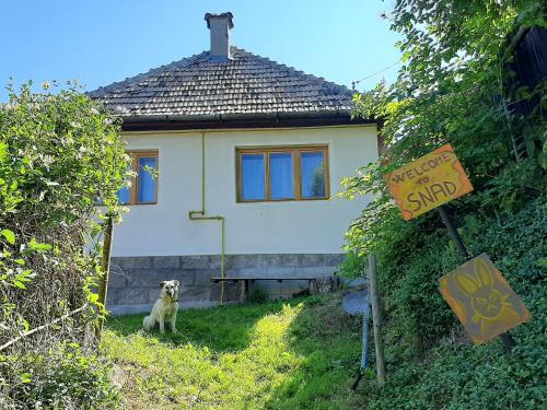 Welcome to Snad - Băile Tuşnad