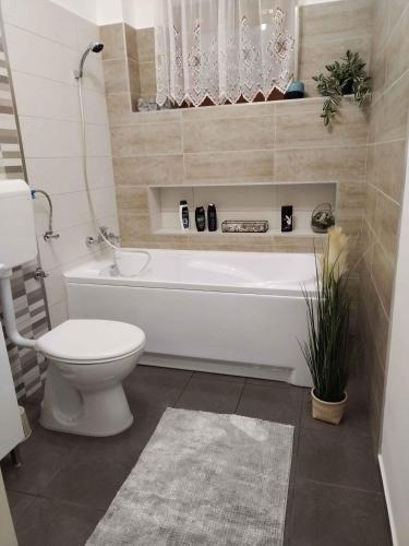 Koupelna, Holiday home in Balatonkeresztur 41050 in Balatonmariafurdo