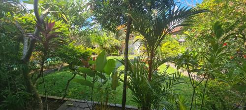 Paranyogan Homestay – Uluwatu, CO