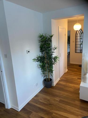 Perfectly situated luxury 2 bedroom apartment, Glasgow (fotografie 9)