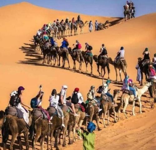 Merzouga Top Luxury Camp - image 3
