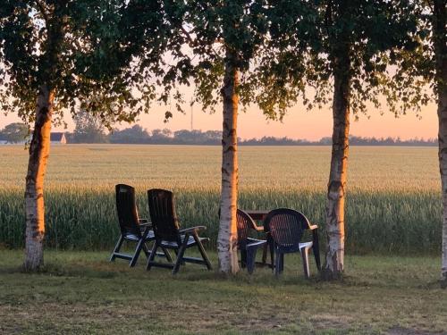 Romantic Luxus Glamping 3 in Idestrup