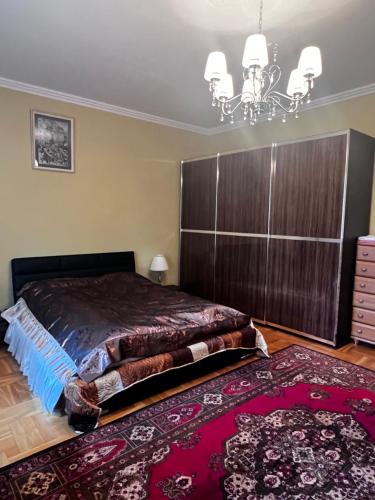 Spacious rooms in peaceful Jelgava area