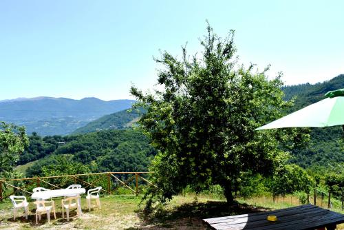 Agriturismo Il Loppo, your Home in the Woods