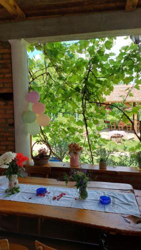 Amanet House Zasavica in Zasavica