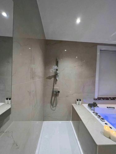 Sublime appartement Calme Cosy & Jacuzzi, Брюссель (фото 11)