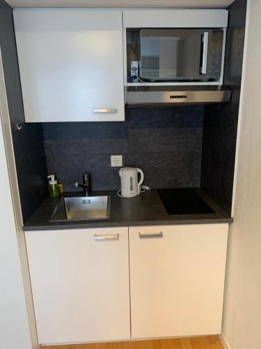 Cozy Studio Apartment Unit 11 in Center of Zurich, Curych (fotografie 6)
