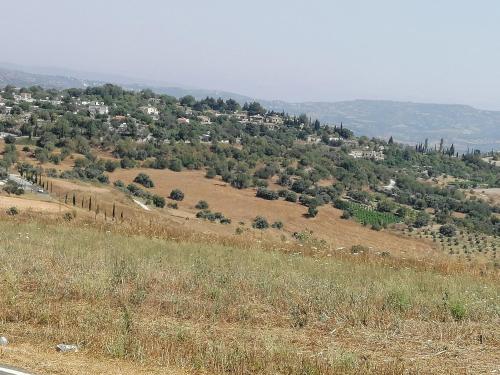 Stavros Agios Dimitrianos Village House