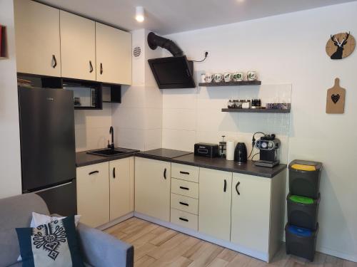 Apartament Pod Jelonkiem, Szklarska Poręba (foto 9)