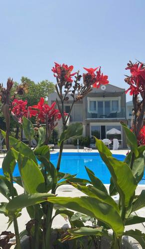 Gyra Villas - Seaview Villa Fivos with private pool 4