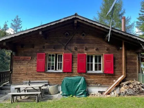 Beautiful Swiss chalet with breathtaking views and a sauna in Riein, Schweiz