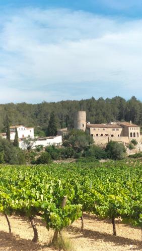 Casa rural La Torre