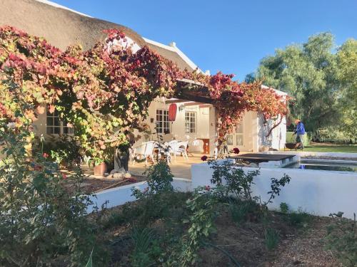 景觀, The Grand Marigold in 麥格雷戈