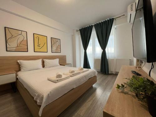 Perfect Host Palas Studio Central in Iasi