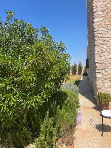 Villa Rabia Villa Rabia