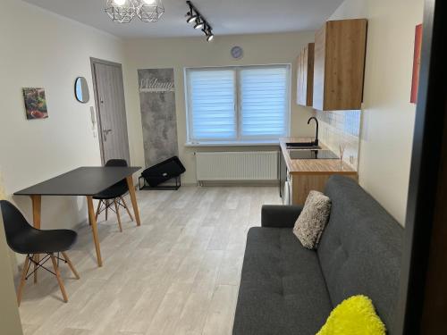 Apartament Mazowiecka 29 (blisko PESA, PKP, Atos)