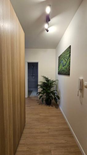 2 room Apartment with terrace, new building, 413 2 room Apartment with terrace, new building, 413