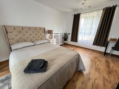 Large Room with free Netflix, Amazon Prime, Disney Plus