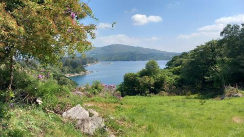 Cuckoo Tree House Glengarriff Beara Peninsula